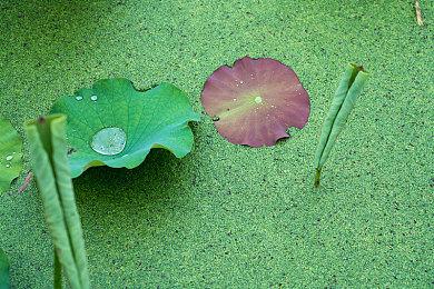 《明日方舟：终末地》再次测试招募开启 公布全新PV